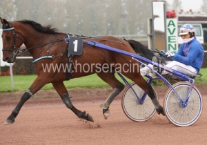 Kategorie: Avenches, 1.11.14 (S.Schär R1-4)